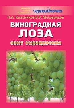 Петр Красников - Виноградная лоза. Опыт выращивания - <a href=
