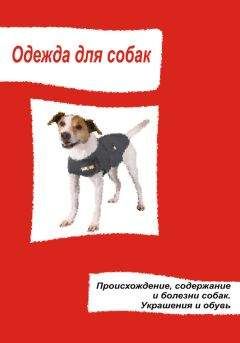 Илья Мельников - Одежда для собак. Происхождение, содержание и болезни собак. Украшения и обувь - <a href=
