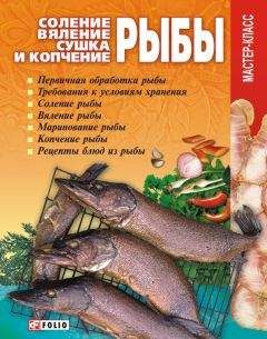 Владимир Онищенко - Соление, вяление, сушка и копчение рыбы