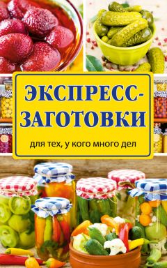 Виктория Рошаль - Экспресс-заготовки - <a href=
