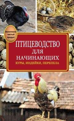 Эдуард Бондарев - Птицеводство для начинающих - <a href=
