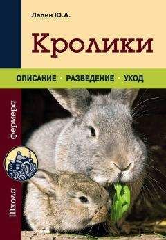Юрий Лапин - Кролики - <a href=