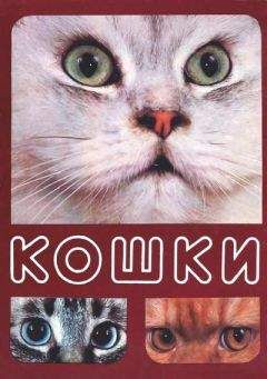 Николай Непомнящий - Кошки - <a href=