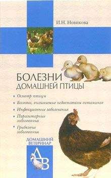 Ирина Новикова - Болезни домашней птицы