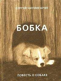 Сергей Чилингарян - Бобка - <a href=
