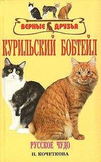 Н. Кочеткова - Курильский бобтейл - <a href=