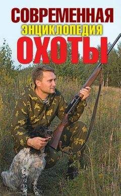 Сергей Ерофеев - Современная энциклопедия охоты - <a href=