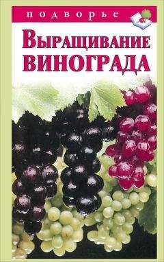 Виктор Горбунов - Выращивание винограда - <a href=