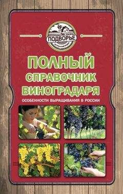 Тамара Руцкая - Полный справочник виноградаря. Особенности выращивания в России - <a href=