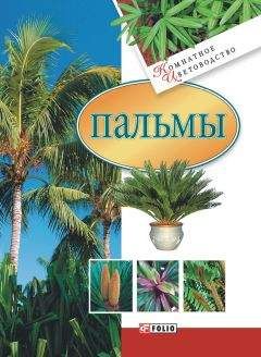 Мария Згурская - Пальмы - <a href=
