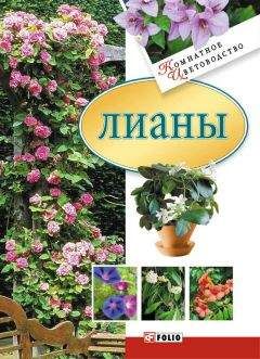 Юлия Белочкина - Лианы - <a href=