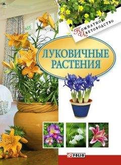 Татьяна Дорошенко - Луковичные растения - <a href=
