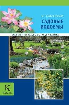 Елена Колесникова - Садовые водоемы - <a href=