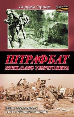 Андрей Орлов - Штрафбат. Приказано уничтожить - <a href=