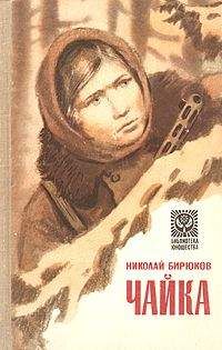 Николай Бирюков - Чайка - <a href=