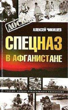 Алексей Чикишев - Спецназ в Афганистане - <a href=