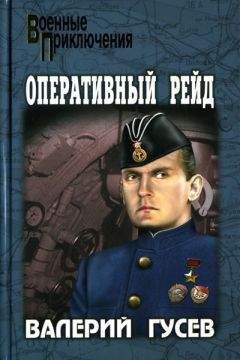 Валерий Гусев - Оперативный рейд - <a href=