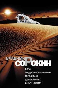 Владимир Сорокин - Норма. Тридцатая любовь Марины. Голубое сало. День опричника. Сахарный Кремль - <a href=
