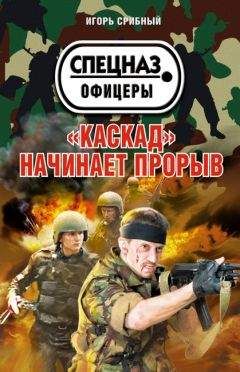 Игорь Срибный - «Каскад» начинает прорыв - <a href=