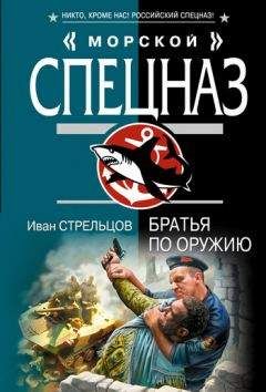 Иван Стрельцов - Братья по оружию - <a href=