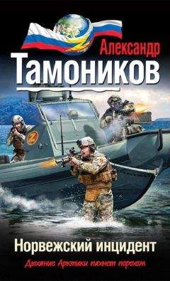 Александр Тамоников - Норвежский инцидент - <a href=