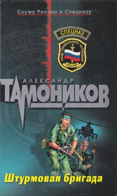 Александр Тамоников - Штурмовая Бригада - <a href=