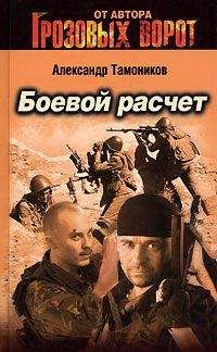 Александр Тамоников - Боевой расчет - <a href=