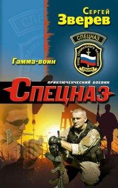 Сергей Зверев - Гамма-воин - <a href=