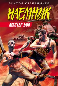 Виктор Степанычев - Мастер боя - <a href=