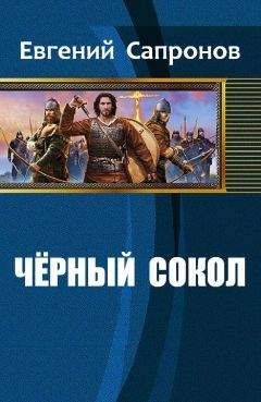 Сапронов Евгений - Чёрный сокол - <a href=