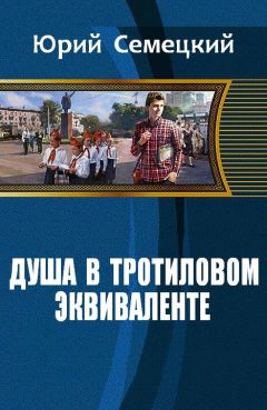 Юрий Семецкий - Душа в тротиловом эквиваленте - <a href=