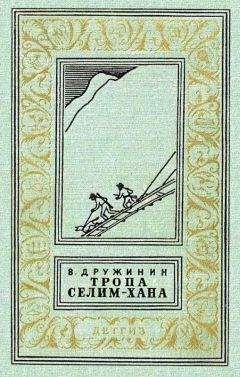 Владимир Дружинин - Тропа Селим-хана (сборник) - <a href=