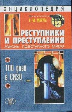 Валерий Маруга - Преступники и преступления. Законы преступного мира. 100 дней в СИЗО