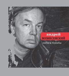 Андрей Вознесенский - Ямбы и блямбы - <a href=