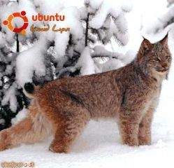 Вадим Неворотин - Руководство по переходу на Ubuntu 10.04 LTS «Lucid Lynx» - <a href=