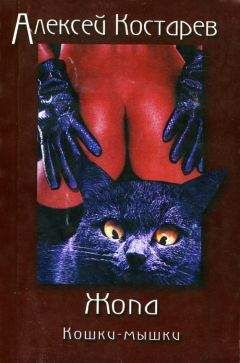 Алексей Костарев - Кошки-мышки - <a href=