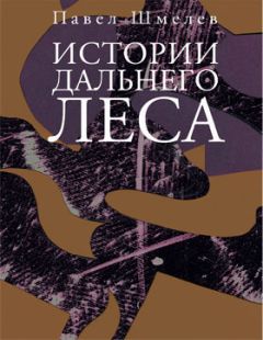 Павел Шмелев - Истории Дальнего Леса - <a href=