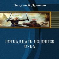 Дмитрий Летучий - Двенадцать подвигов нуба