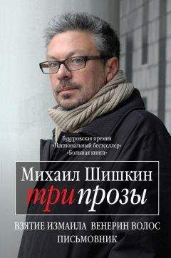 Михаил Шишкин - Три прозы (сборник) - <a href=