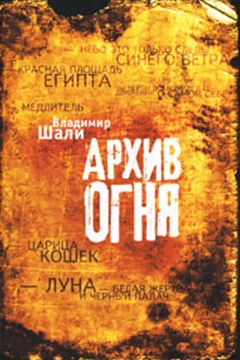Владимир Шали - Архив огня - <a href=