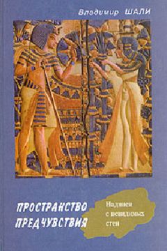 Владимир Шали - Пространство предчувствия