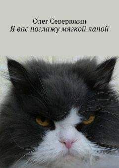 Олег Северюхин - Я вас поглажу мягкой лапой - <a href=