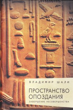Владимир Шали - Пространство опоздания