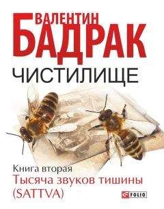 Валентин Бадрак - Чистилище. Книга 2. Тысяча звуков тишины (Sattva) - <a href=
