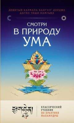 Вангчуг Дордже - Смотри в природу ума. Классический учебник по практике Махамудры - <a href=