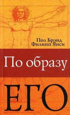 Пол Брэнд - По образу Его - <a href=