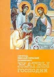 Николай Сербский (Велимирович) - Жатвы Господни - <a href=