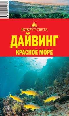 Андрей Рянский - Дайвинг. Красное море - <a href=