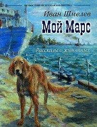 Иван Шмелев - Мой Марс - <a href=