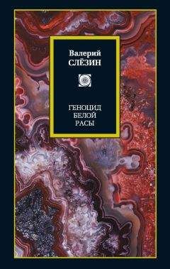 Валерий Слезин - Геноцид белой расы. Кризис Европы. Как спастись, как преуспеть - <a href=